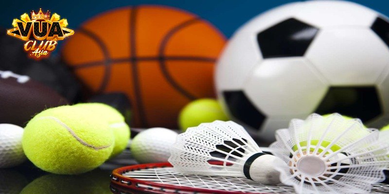 Top 5 sảnh thể thao uy tín