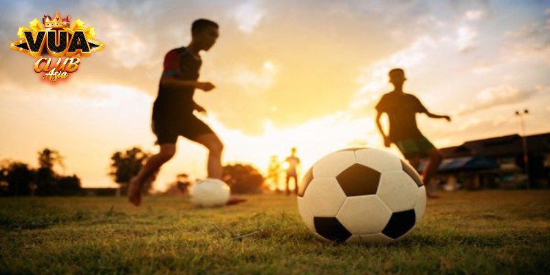 Ưu điểm sảnh thể thao