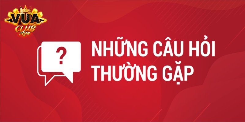 Câu hỏi thường gặp Vuaclub về giấy phép