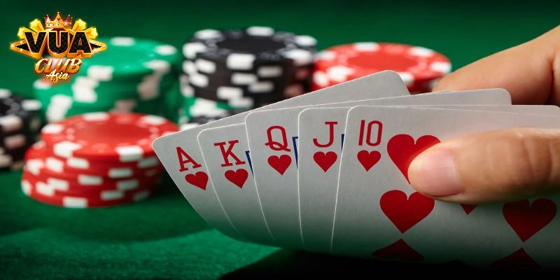 Luật chơi chi tiết ở từng vòng newbies cần biết