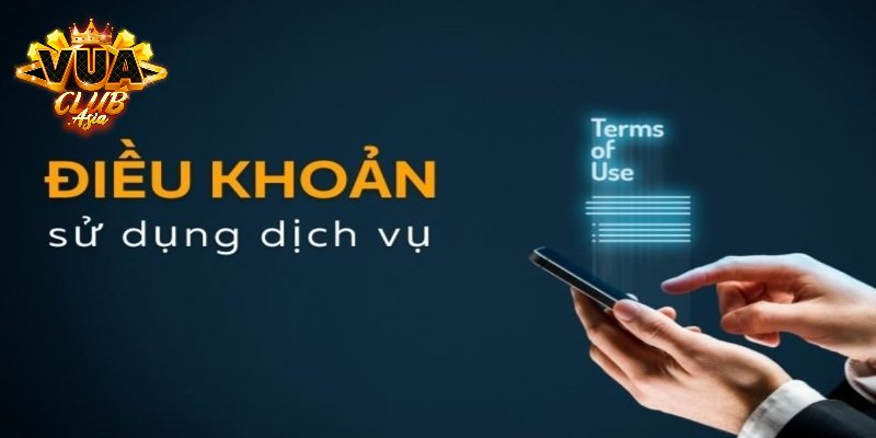 Một số thông tin về điều khoản sử dụng Vuaclub