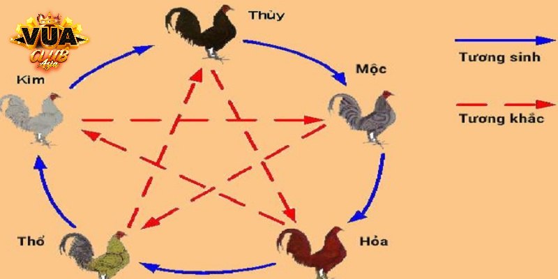 Những cách lựa chọn màu mạng cực chuẩn