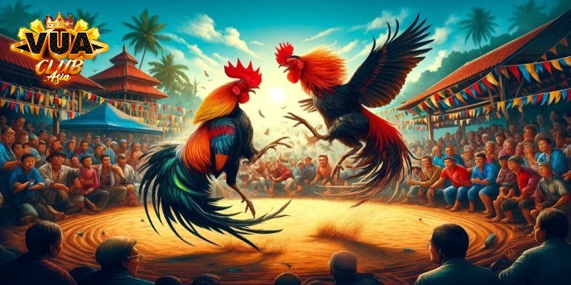 Tìm hiểu đá gà Campuchia