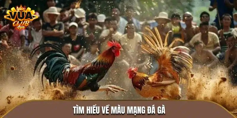 Tìm hiểu màu mạng đá gà