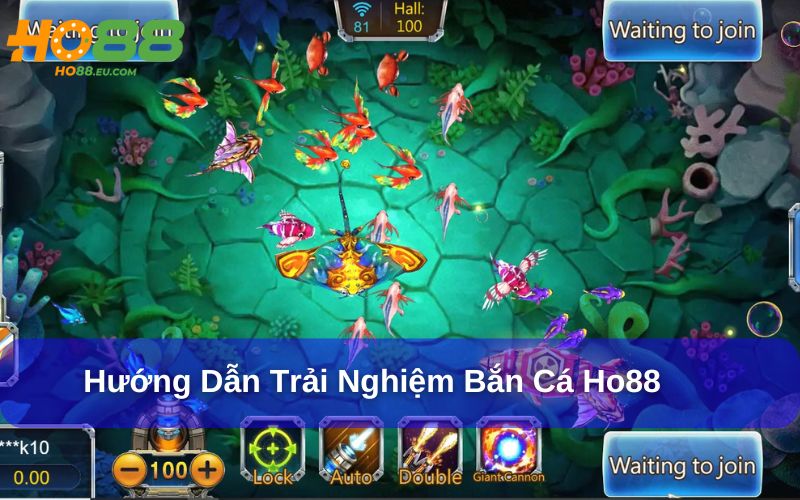 Hướng dẫn chơi Bắn Cá Ho88 cho người mới bắt đầu