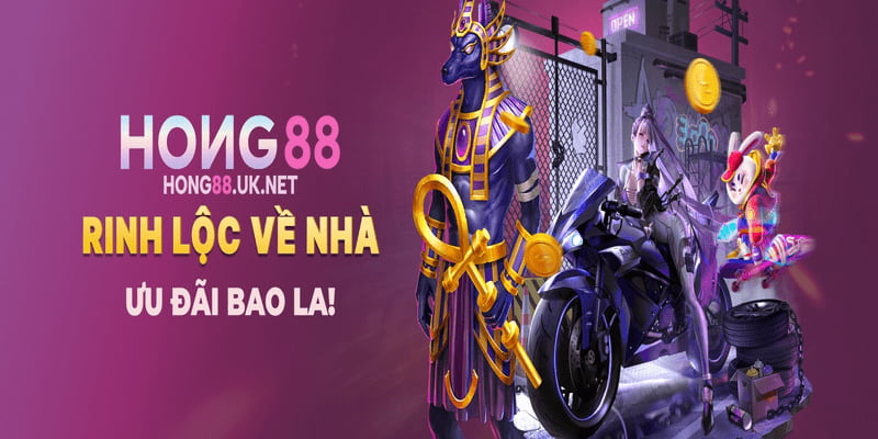 Tổng quan về nền tảng cá cược Hong88